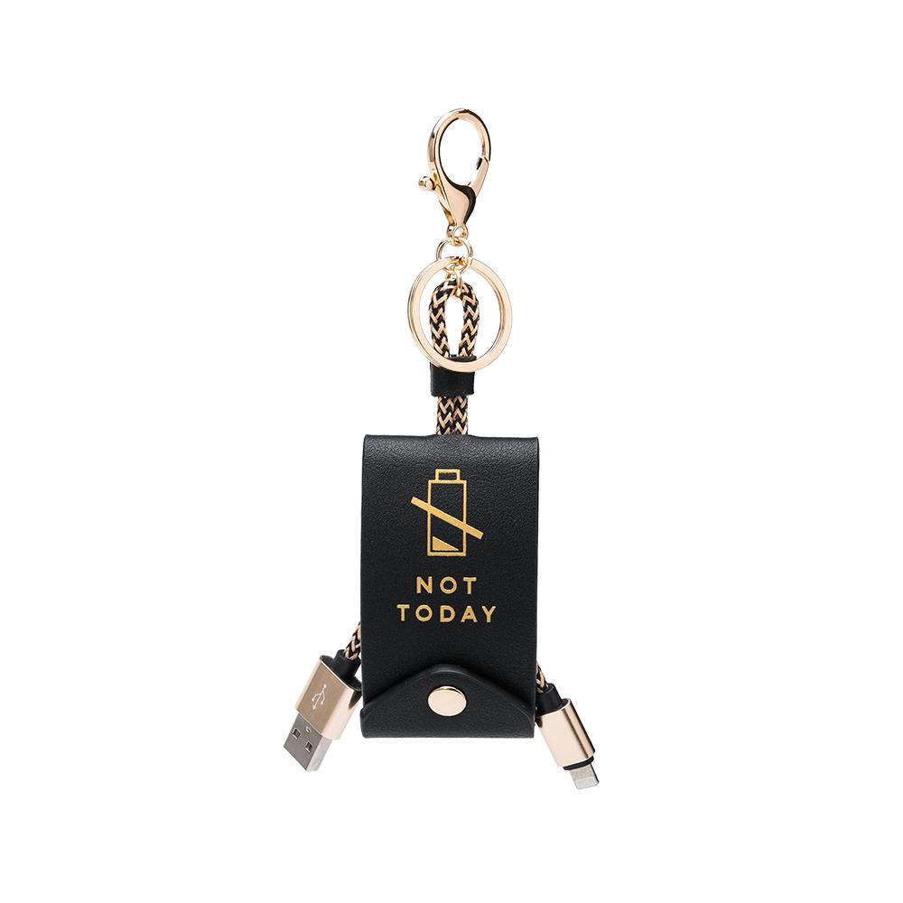 Fun iPHONE Keychain - iBESTEST.com