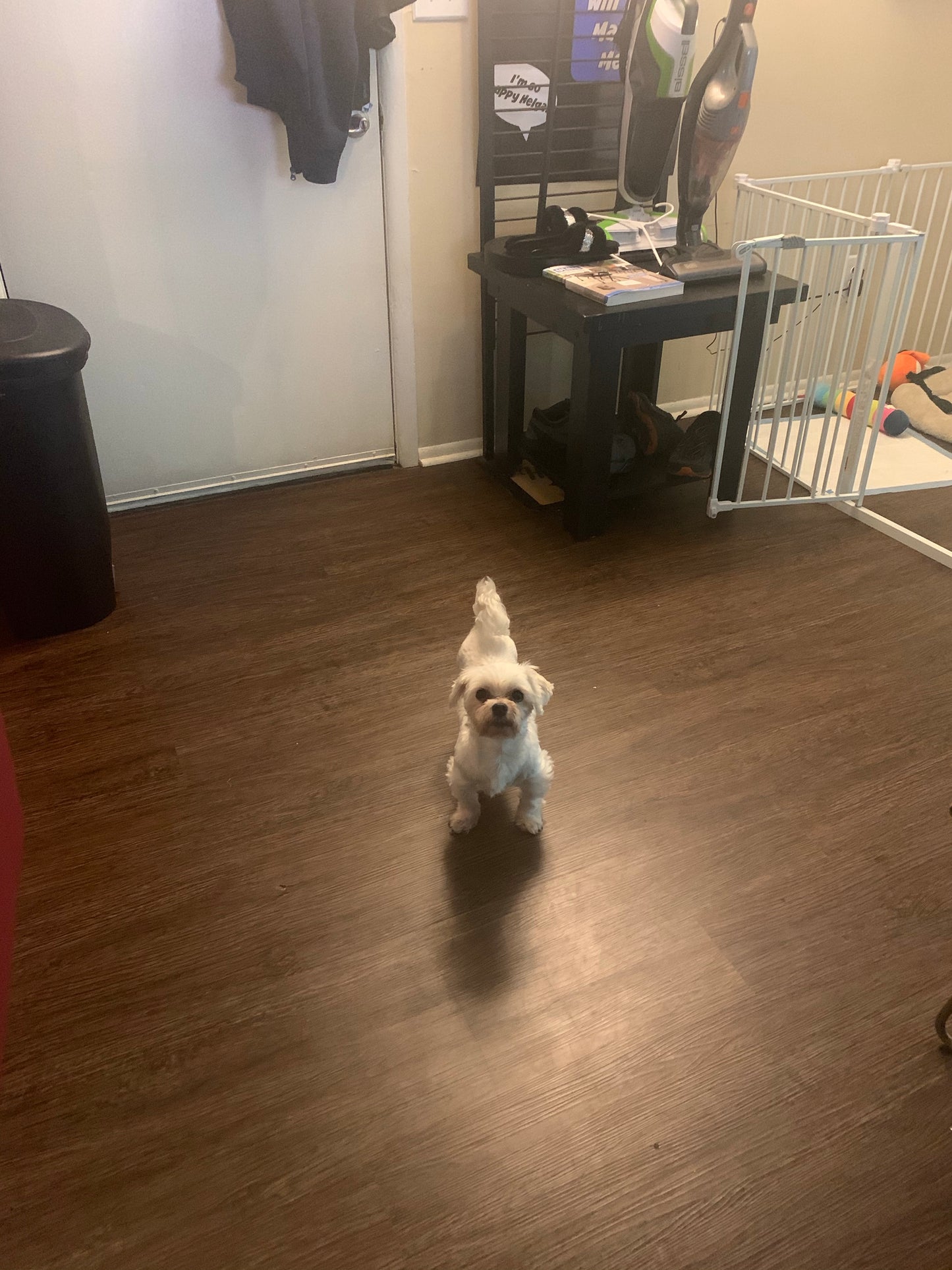 Metal Spiked Mask - iBESTEST.com