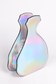 Holographic Silver Money Bag