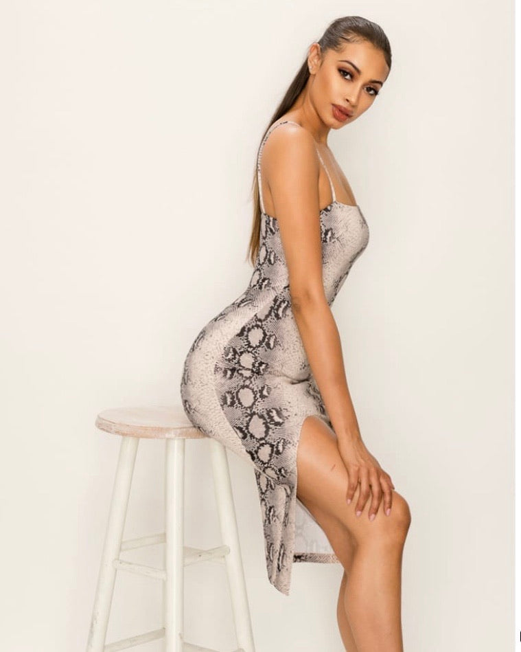 Snake Print Dress & Mask Set - iBESTEST.com