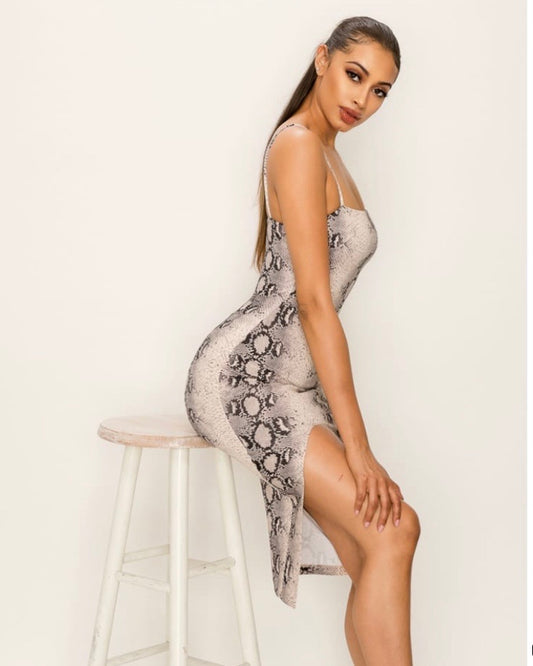 Snake Print Dress & Mask Set - iBESTEST.com