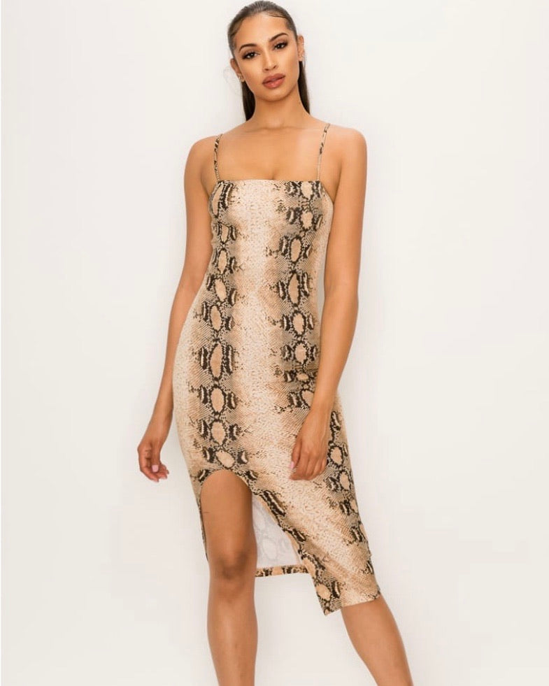 Snake Print Dress & Mask Set - iBESTEST.com