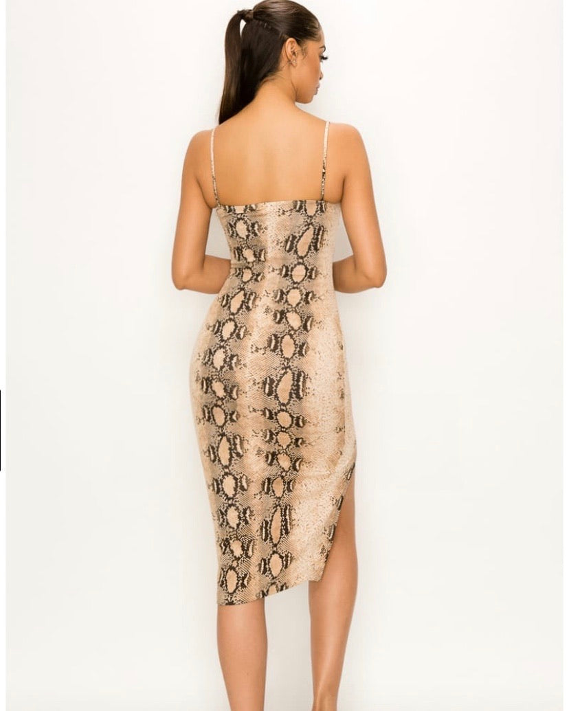 Snake Print Dress & Mask Set - iBESTEST.com